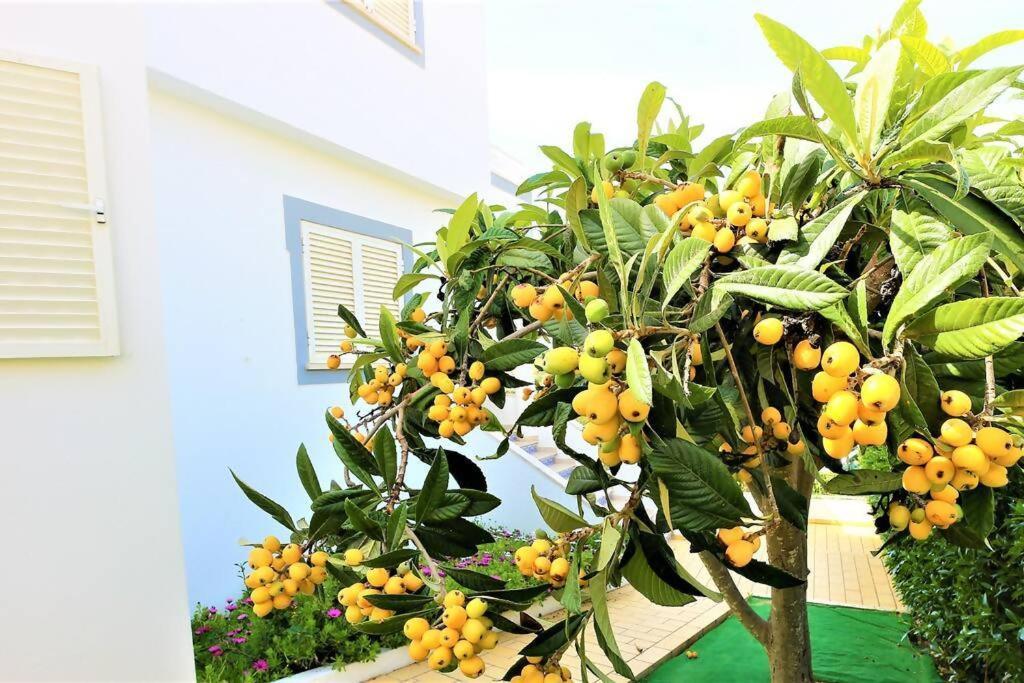 Villa Ventura Marina Albufeira Exterior foto
